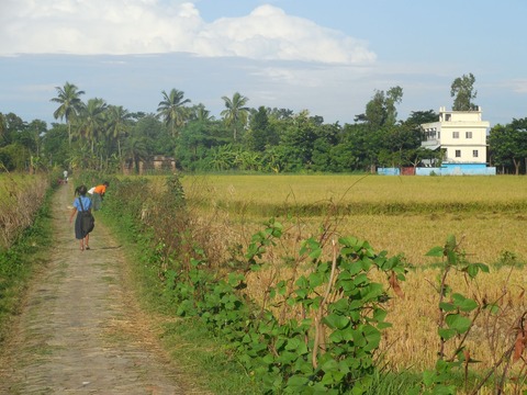 DSCN0868