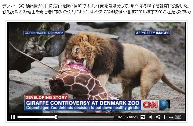 素晴らしい デンマークで 殺処分のキリン解体を一般公開 死骸はライオンの餌に Cnn Chisitomare Esamanihi