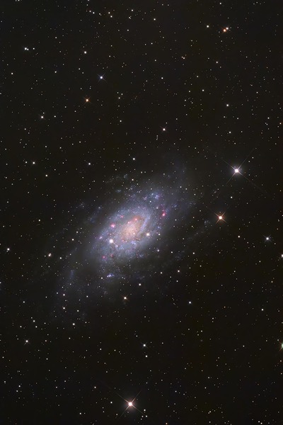 NGC2403web