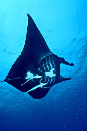 274981243_4883551391725964_7953149739368328773_n