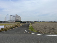田んぼの中の墓