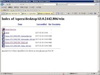 WindowsServer2003にOperaを11