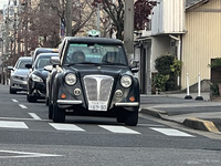 フライングパグ