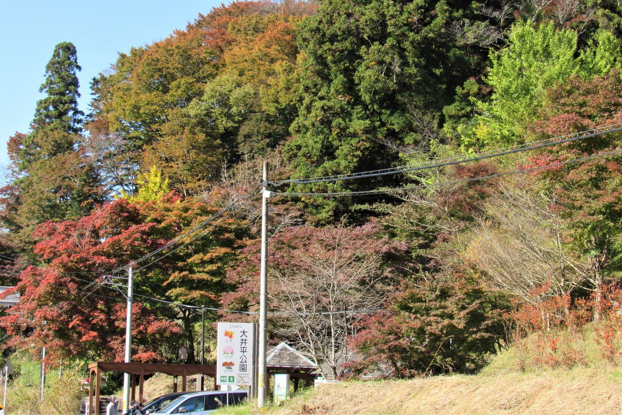 紅葉の茶臼山高原道路 エコバカ日記2 紅葉の茶臼山高原道路 エコバカ日記2
