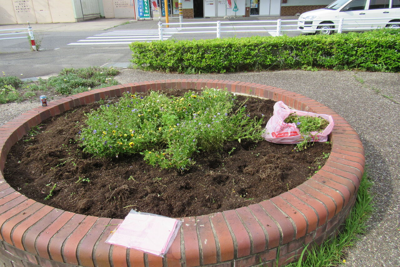 ポケットパークの土作りとジャム エコバカ日記２