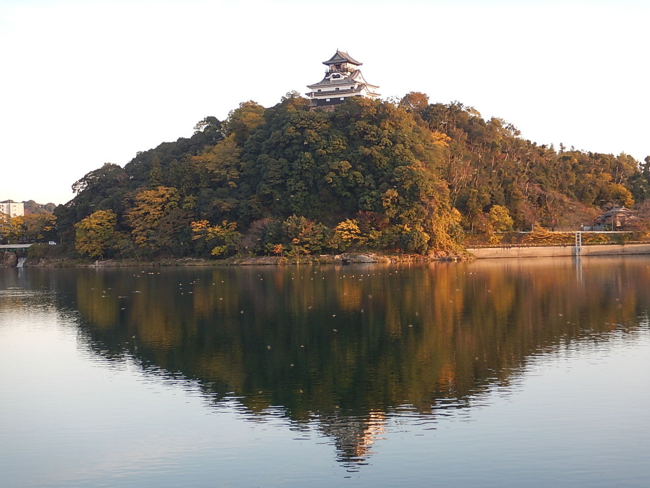 ３５年ぶりの林道ツーリング エコバカ日記２