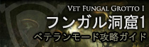 FungalGrottoI