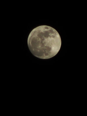 IMG_5292_03