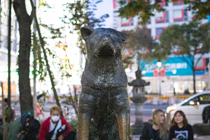 IMG_4211