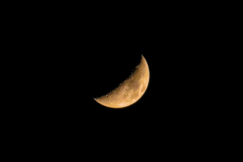 IMG_2371