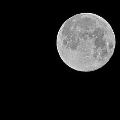 IMG_2357s