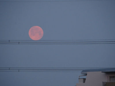 IMG_1682s