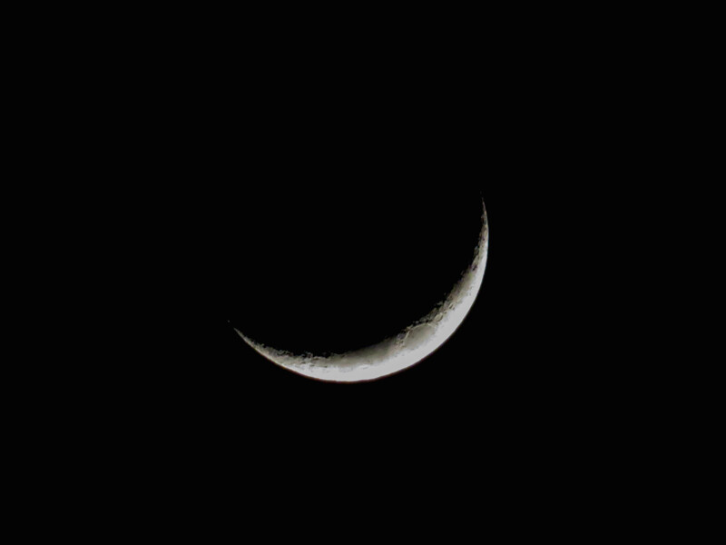 IMG_2235
