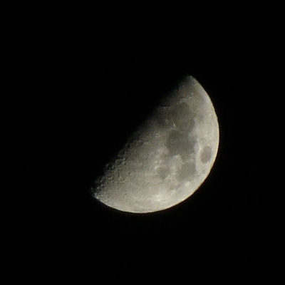 IMG_7895_2