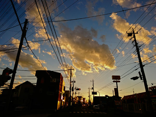 DSC_0508s