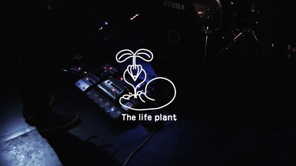 thelifeplant_thumbs1