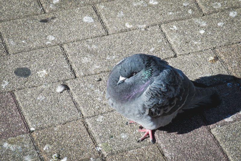 IMG_3359