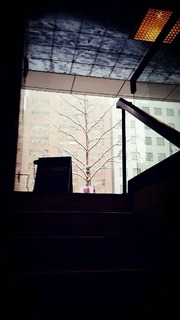 IMG_0581