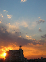 91c44823.JPG