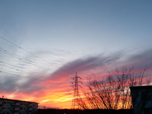 IMG_0404s