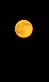 ba1187b0.jpg