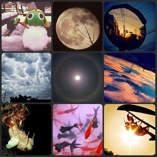 tumblr_myb8jw4xQs1rk3drpo1_500