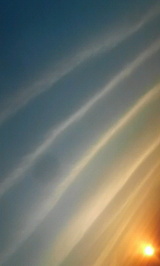 d08f8508.jpg