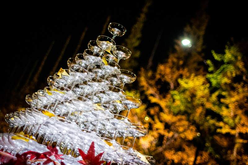 IMG_0206