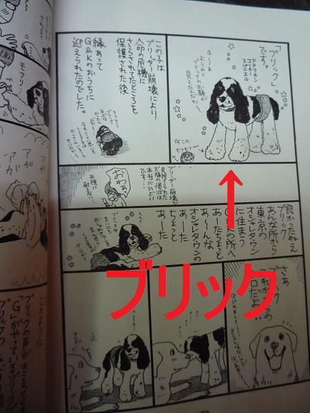 いくえみさんちの白い犬 Journal De L Espace いくえみさんちの白い犬 Journal De L Espace