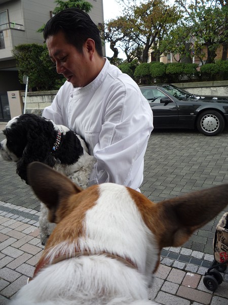 いくえみさんちの白い犬 Journal De L Espace いくえみさんちの白い犬 Journal De L Espace