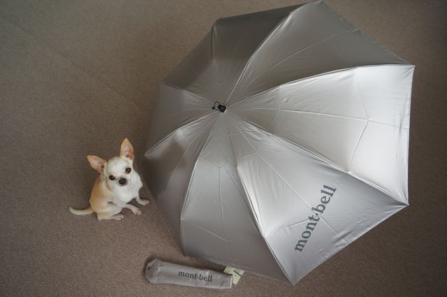 見ました アラブ モニカ モンベル サン ブロック アンブレラ Keirisupport Jp