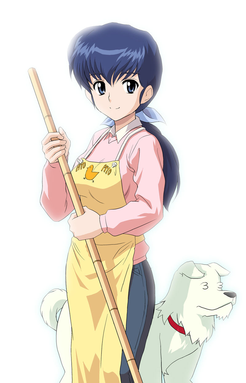 調査 ラムちゃん 乱馬 音無響子 高橋留美子人気キャラno 1は こっそりオタクまとめ
