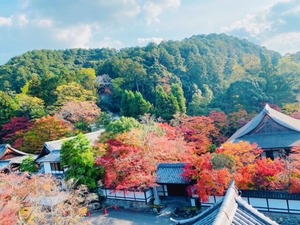 南禅寺紅葉2