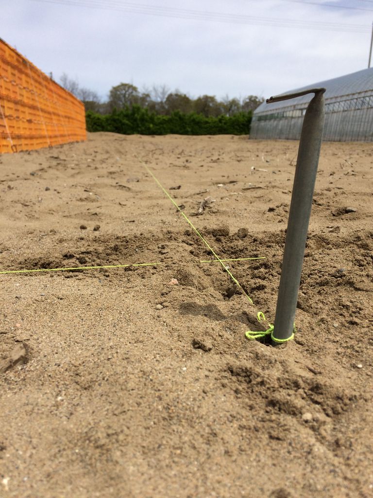 機械と資材置き場として もう一棟ビニールハウスを建てる予定の場所に水糸を張る ベジファーム 空風 Qoofoo