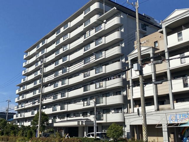 バギー 子供自転車 が入る 車