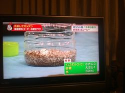 IMG_1930 - コピー