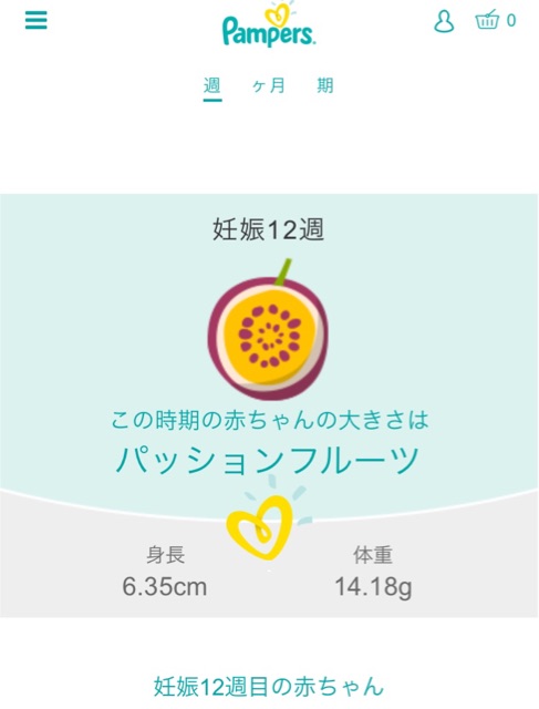 妊婦のお腹 兼業主婦の日々