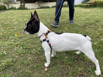 B0D82414-857E-4878-8FCA-62C31CD4839D