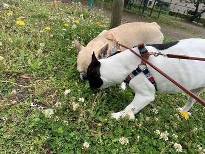 84CF16A8-2B3F-4C50-88E9-BCD99B338E93