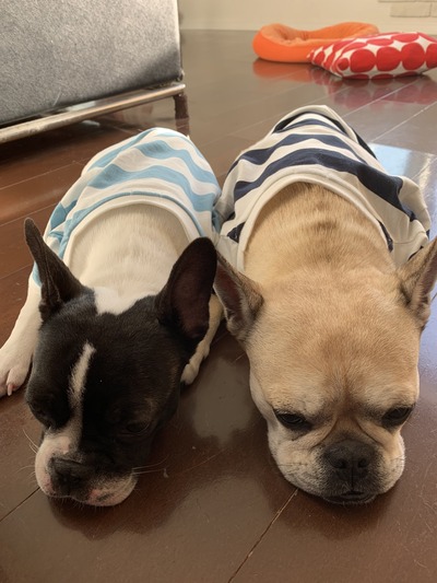 2EC36F2D-FEEF-44D7-9D5F-115D1A640379