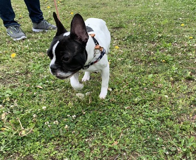 D74C65C1-DEFF-45D5-AF12-4E95E08F4E3C