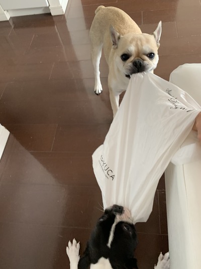 7E993D54-5E66-4F8F-A50C-FDB23526C9C3