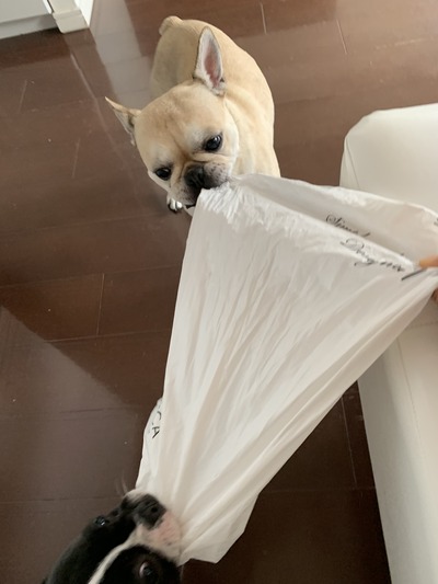 A6CA4D9C-E28F-41C1-A830-DCBC216BE03C