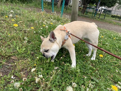 8FB6197F-9B1F-4833-AF5F-B7C4CE5B4436