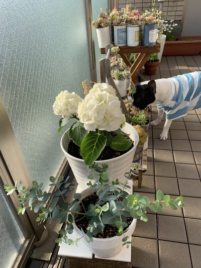 59A30BB6-7CD5-4FFF-B569-19800EAD50FC