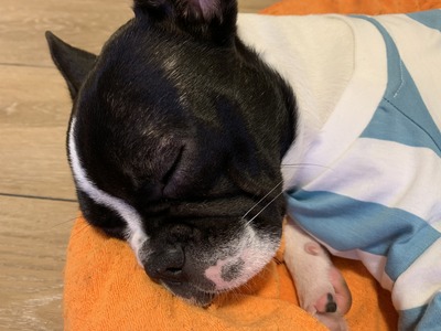 3BDCFD50-0066-47AB-AD8D-2855D0ED8B69