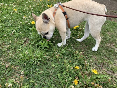 B77AF7D8-B096-4F13-BB84-8F4E5B083ED1