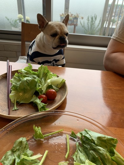 5C1E14B5-8ABE-41A7-A596-31AB6D2FD85F