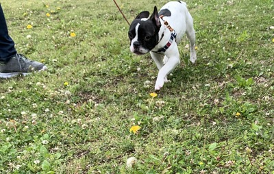 974684D8-8524-4B56-A216-BD73BA035E71