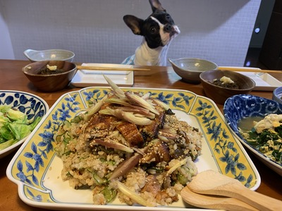 8FE8E55A-DCB0-4FF1-83CB-BC26B9FBBBEA